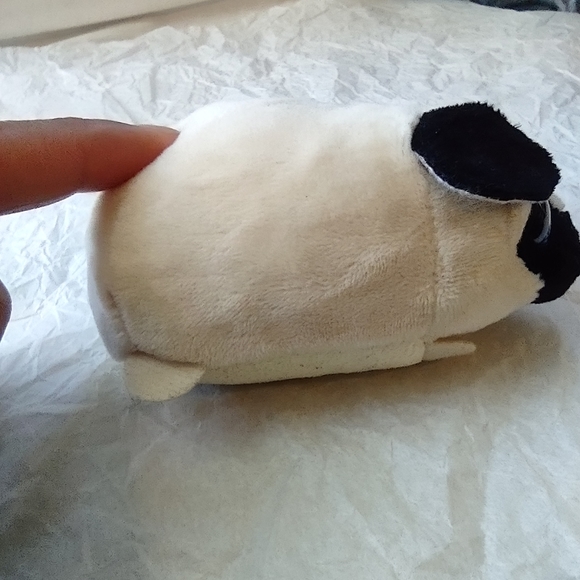 •Ty Teeny Candy the Pug Dog (5 inch) plush - Picture 6 of 13